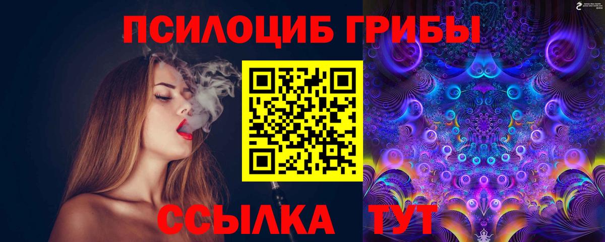 Псилоцибиновые грибы Psilocybe Петровск