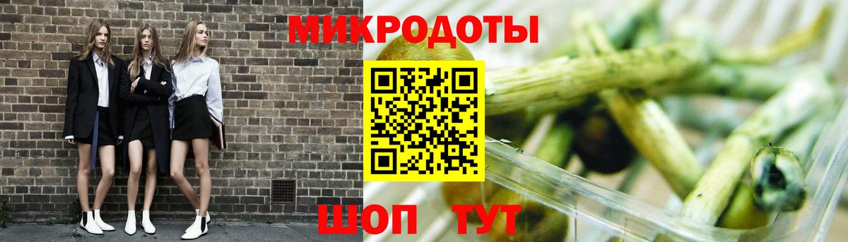Псилоцибиновые грибы Magic Shrooms  Вход с VPN  купить наркоту  Петровск 